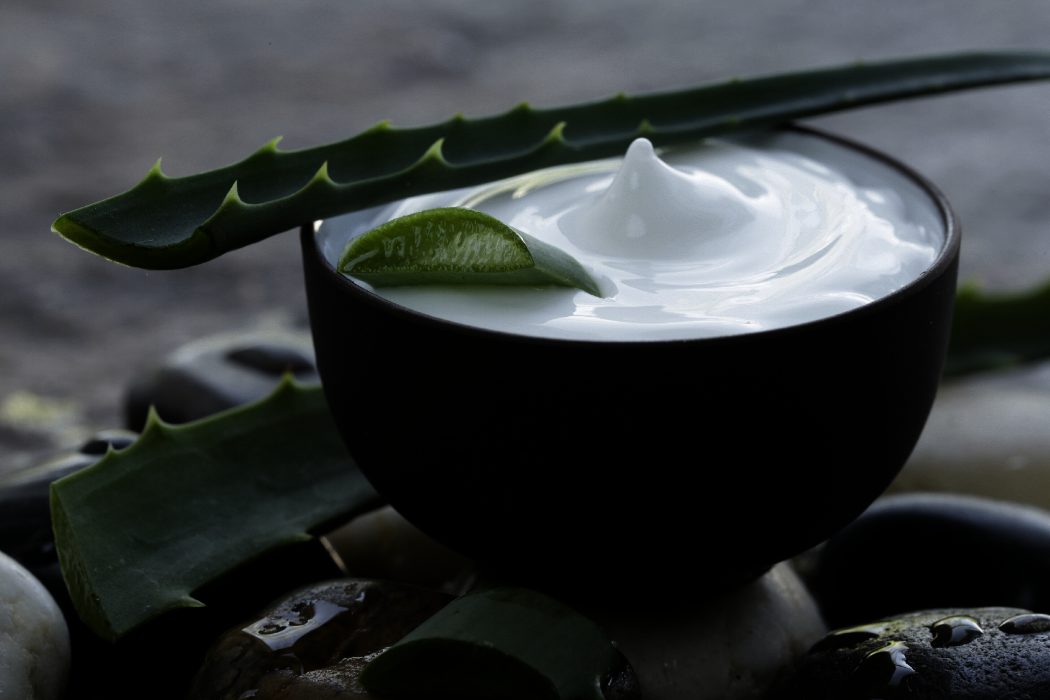 8 beneficios del aloe vera